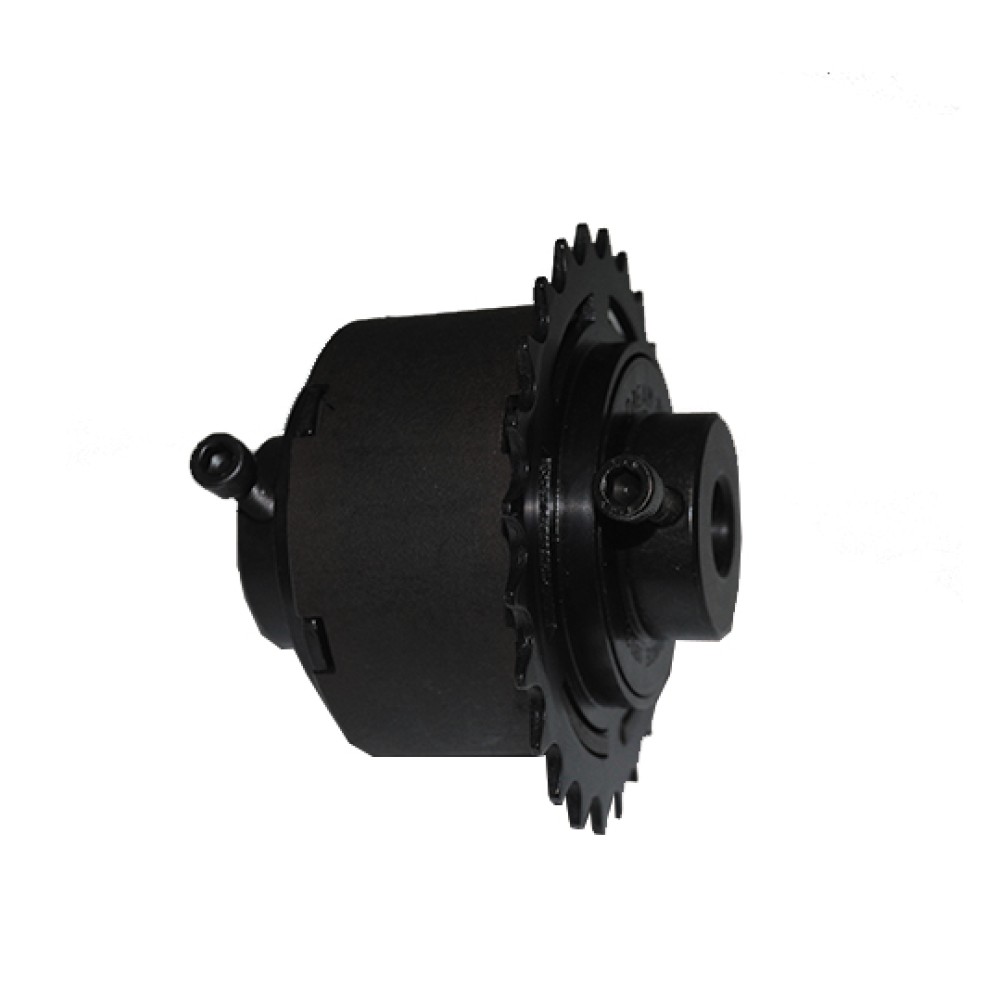 Catraca Diferencial Kit Triciclo Bicicleta Roda Livre 24 Dentes Catraca Diferencial Kit Triciclo Bicicleta Roda Livre 24 Dentes