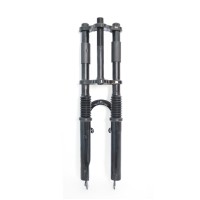 Garfo Suspensão Amortecedor 24 Big Gordo Dh Standard Skynano